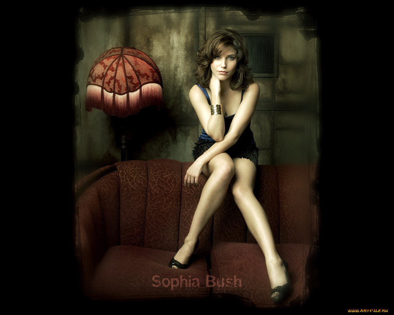 Sophia Bush, 